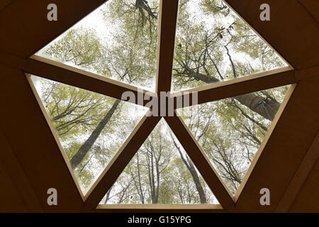 Witzenhausen, Deutschland. 29. April 2016. Blick durch das Oberlicht-Fenster des Haupthauses der Baumhaus Herberge befindet sich in einem Wald in der Nähe von Witzenhausen, Deutschland, 29. April 2016. Foto: UWE ZUCCHI/Dpa/Alamy Live News Stockfoto