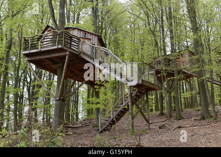 Witzenhausen, Deutschland. 29. April 2016. Außenansicht der Baumhaus Herberge befindet sich in einem Wald in der Nähe von Witzenhausen, Deutschland, 29. April 2016. Foto: UWE ZUCCHI/Dpa/Alamy Live News Stockfoto