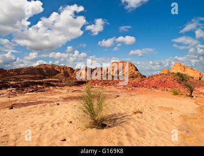 Sinai Wüste Landschaft Stockfoto