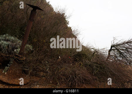 Auswirkungen der Küstenerosion, Bawdsey Fähre, Suffolk, UK. Stockfoto