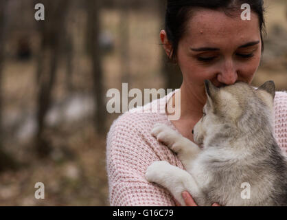 Eine junge Frau hält einen Baby husky Welpen Stockfoto