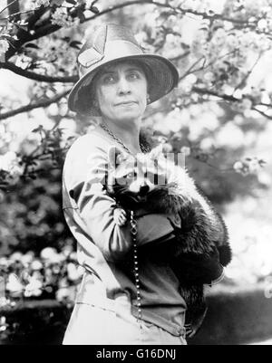 Frau Calvin Coolidge hält ihr Haustier Waschbär Rebecca. Grace Anna Goodhue Coolidge (3. Januar 1879 - 8. Juli 1957) war die Ehefrau von Calvin Coolidge und First Lady der Vereinigten Staaten von 1923 bis 1929. Sie ist Absolventin der University of Vermont im Jahre 1902, Stockfoto