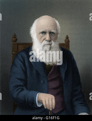 Line-Gravur von Charles Darwin (1809-1882) im Alter von 80 durch Conrad Koch nach Elliot & braten. Darwin war ein englischer Naturforscher und Geologe. Er festgestellt, dass alle Arten von Leben im Laufe der Zeit zu von gemeinsamen Vorfahren und in einer gemeinsamen Publica abgestiegen sein Stockfoto