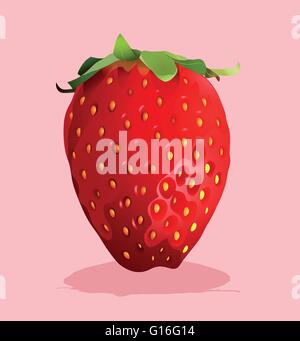 Frische Erdbeeren mit Stiel auf illustration Stock Vektor