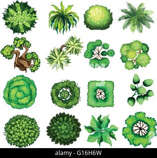 Draufsicht von verschiedenen Arten von Pflanzen illustration Stock Vektor