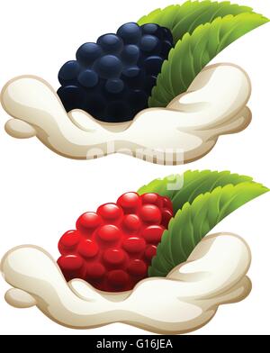 Rasberry und Blackberry auf Creme illustration Stock Vektor