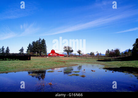 Fraser Valley, Langley, BC, Britisch-Kolumbien, Kanada - rote Scheune auf Hof inmitten der bäuerlichen Landwirtschaft Stockfoto