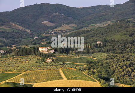 Weingüter in der Toskana. Stockfoto