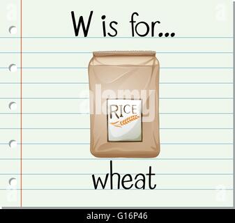 Flashcard Buchstabe W ist für Weizen illustration Stock Vektor