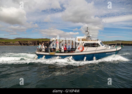 Touristen genießen einen Dingle Dolphin Sightseeing Reise, Dingle Bay, Dingle, Dingle-Halbinsel, County Kerry, Irland. Stockfoto