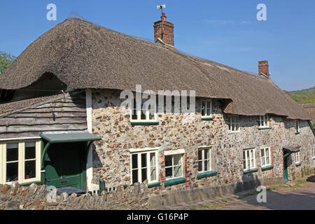 Eine Reihe von strohgedeckten Hütten in einem Dorf Devon gibt einen Vorgeschmack auf Englisch Dorfleben. Stockfoto