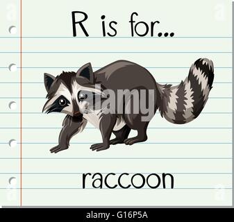 Flashcard Buchstabe R ist zur Veranschaulichung der Waschbär Stock Vektor