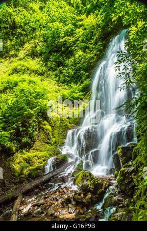 Fee fällt, Columbia River Gorge, Oregon usa Stockfoto