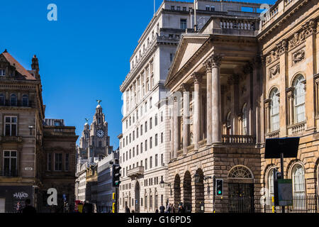 Town Hall, Liverpool, Merseyside, England, Vereinigtes Königreich Stockfoto