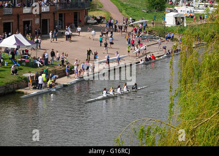 Ruderer im Wettbewerb in Shrewsbury Regatta am Fluss Severn, Shropshire, England, UK Stockfoto