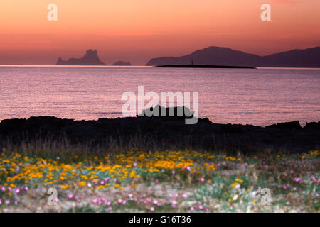 Frühling in Illetas, mit der Insel Es Vedra im Hintergrund. Formentera (Balearen). Stockfoto