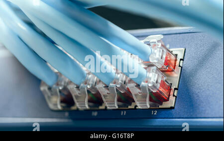 Gigabit switch mit angeschlossenen Kabeln in Serverrack Stockfoto