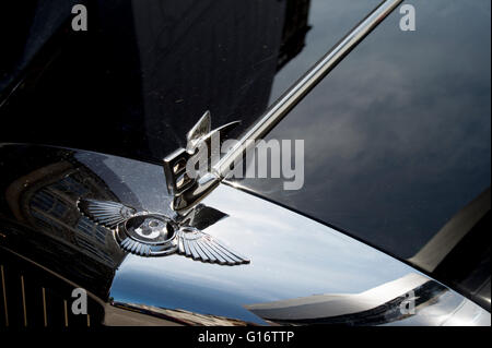 Heizkörper-Abzeichen und fliegenden B auf Bentley Oldtimer Stockfoto