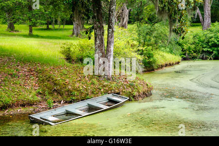Korinthische Säulen unterschiedlicher Höhe verschwinden in den Bäumen dahinter, mit einem Zaun und gemähtem Gras im Vordergrund bei den Windsor-Ruinen, Mississippi. Stockfoto
