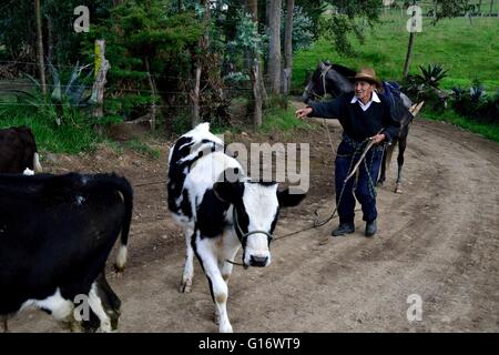 Viehzüchter in Pulun "Las Huaringas" - HUANCABAMBA... Abteilung von Piura. Peru Stockfoto