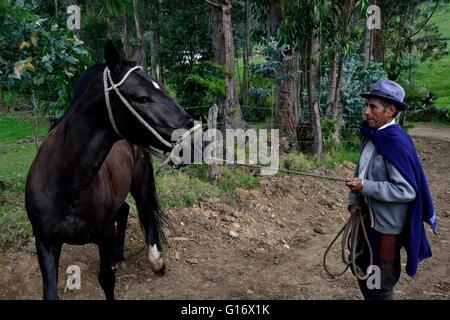 Viehzüchter in Pulun "Las Huaringas" - HUANCABAMBA... Abteilung von Piura. Peru Stockfoto