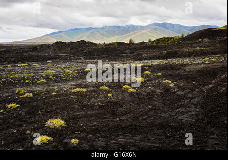 Krater des Moon Nationalmonument and Preserve Stockfoto