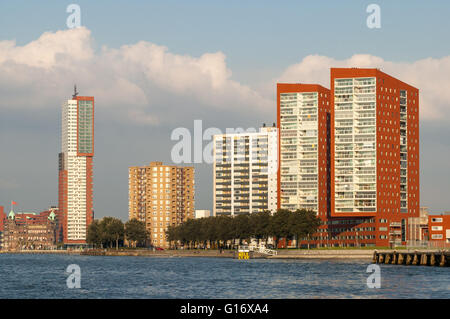 Skyline von Kop van Zuid mit Hotel New York und Montevideo und Katendrecht Halbinsel in Rotterdam von Maas, Niederlande Stockfoto