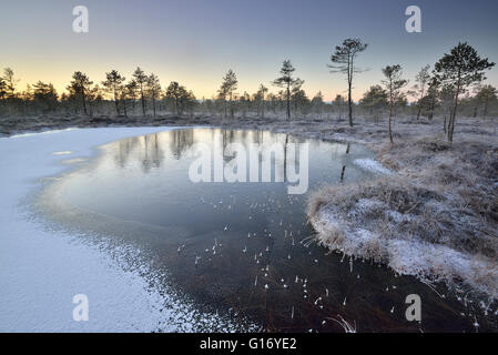 Gefrorenen Moor-Pool in den frühen Morgenstunden Stockfoto