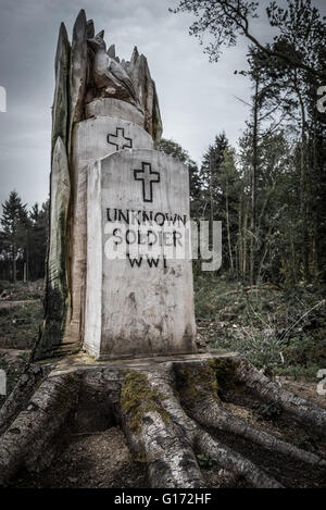 Die Rozelle Erinnerung Woodland in Ayr, Schottland. Die Gärten wurden im Rahmen der 1. Weltkrieg hundertjährigen Erinnerungen geschaffen. Stockfoto