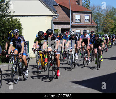 AALST, Belgien 5. Mai 2016: Amateurfahrer der verschiedenen Zyklus Clubs konkurrieren in einem Fahrradrennen durch die Straßen von Herdersem, Aalst. Stockfoto