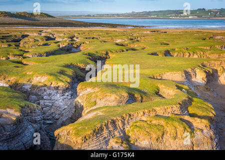 Die Skern - Northam Burrows Stockfoto