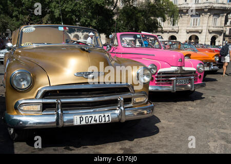 Eine Reihe von bunt bemalten alten 50er Jahre amerikanische Autos auf dem Display in Centro Havanna für Touristen, Habana Cuba zu mieten Stockfoto