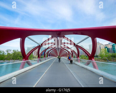 Ein Blick von der Friedensbrücke (von Santiago Calatrava entworfen) und die Skyline von Calgary, Alberta, Kanada. Stockfoto