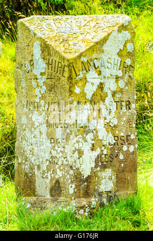 Flechten und Graffiti auf Milestone an Spitze der Trog von Bowland im Wald von Bowland Lancashire England Stockfoto