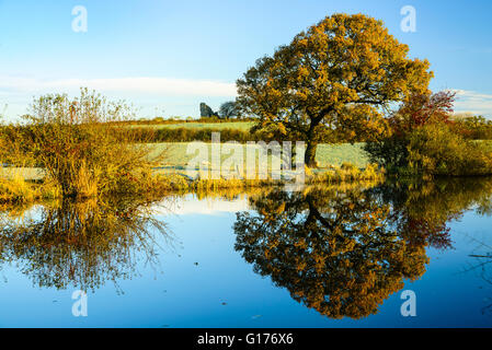 Die Ruinen der Burg Greenhalgh spiegelt sich in den Lancaster-Kanal in der Nähe von Garstang Lancashire England Stockfoto