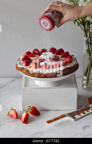 Erdbeer-Kuchen mit Kokos Sahne und garniert mit frischen Erdbeeren auf einem weißen Kuchen Stand, wird bestäubt mit Puderzucker Stockfoto