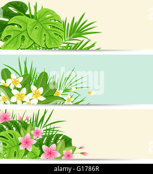 Horizontale tropischen Banner mit Blüten und Blättern. Sommer Blumen Natur Hintergründe. Stockfoto