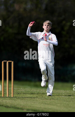 Marnhull CC 2. XI V Blandford 3. XI Blandford CC Juniorenspieler bowling. Stockfoto