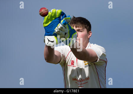 Marnhull CC 2. XI V Blandford 3. XI Blandford CC Wicketwächter in Aktion. Stockfoto