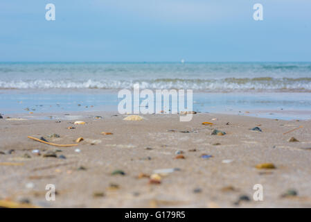 Ein Blick auf die Küste aus einem niedrigen Winkel Stockfoto