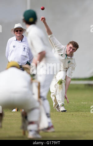 Marnhull CC 1. XI V Poole Stadt 1. XI, Marnhull Spieler bowling. Stockfoto