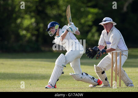 Marnhull CC 1. XI V Poole Stadt 1. XI, Marnhull Spieler in Aktion Wimper. Stockfoto