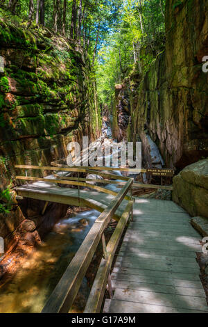 Flume Gorge in Franconia Notch State Park, New-Hampshire Stockfoto
