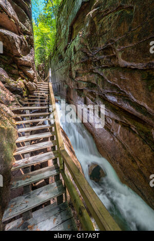 Flume Gorge in Franconia Notch State Park, New-Hampshire Stockfoto