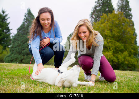 Zwei junge Frauen spielen mit Hund im park Stockfoto