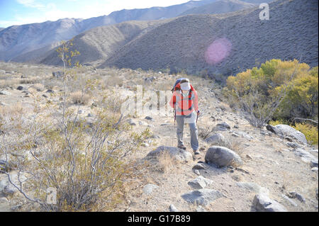 Wanderer erkunden die Wüste, Cottonwood Canyon, Death Valley Nationalpark, Kalifornien Stockfoto