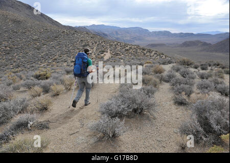 Wanderer erkunden die Wüste, Cottonwood Canyon, Death Valley Nationalpark, Kalifornien Stockfoto