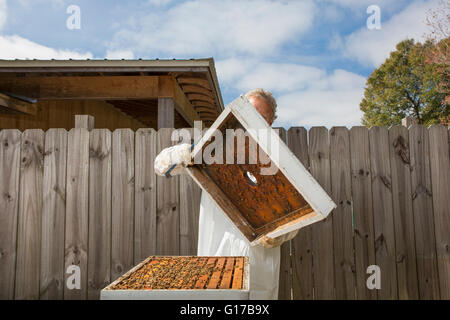 Mann entfernen Deckel vom Bienenstock Stockfoto