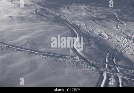 Ski-Spuren im Schnee, Utah, USA Stockfoto