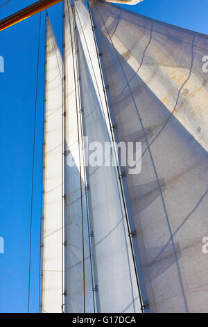 3-Mast-Schoner, die Amphitrite fore Segel Stockfoto